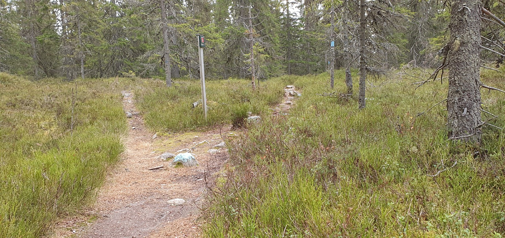 Stikrysset der stien fra nede i bygda møtte den stien jeg kom på