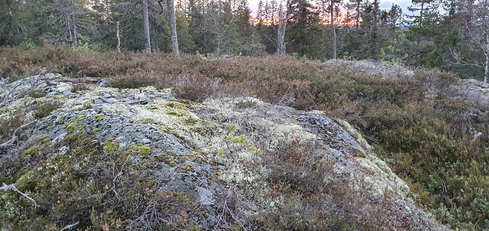 Toppen av Kirkemofjellet