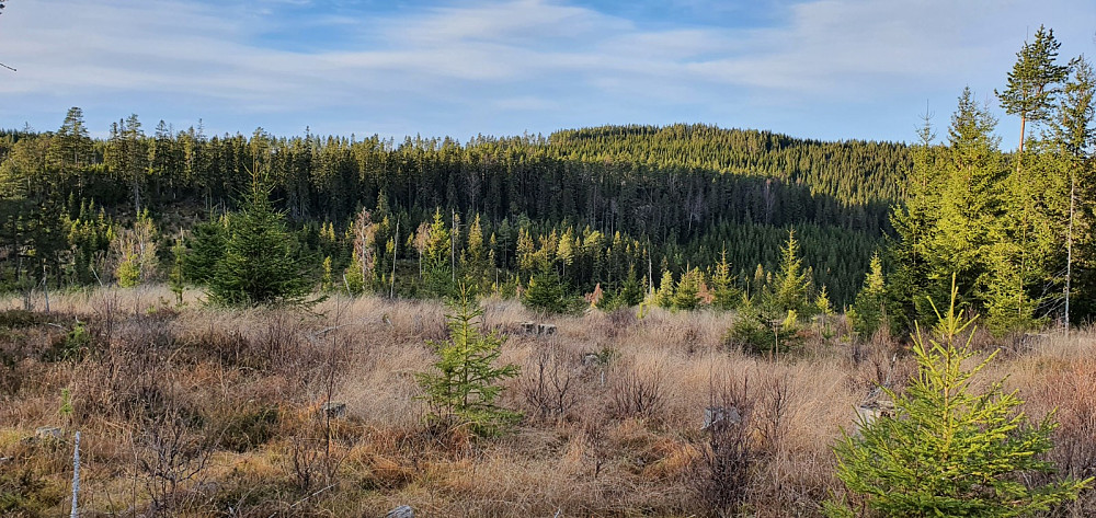 Fra Venbergsknappen og tilbake mot Storberget