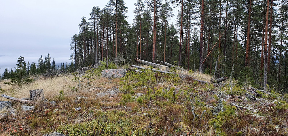 Toppen var snauhogd. Det lå et sammenrast tårn ved det høyeste punktet