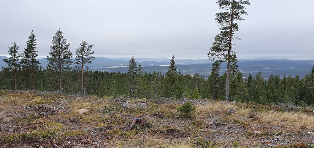 Utsikt vestover