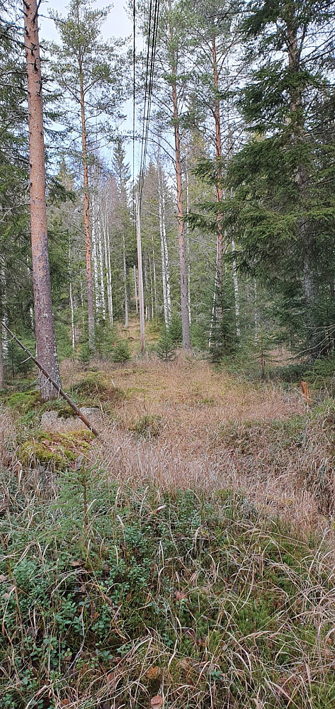 Jeg hadde sett antenner på toppen og tenkte jeg kunne følge ledningsgata til toppen