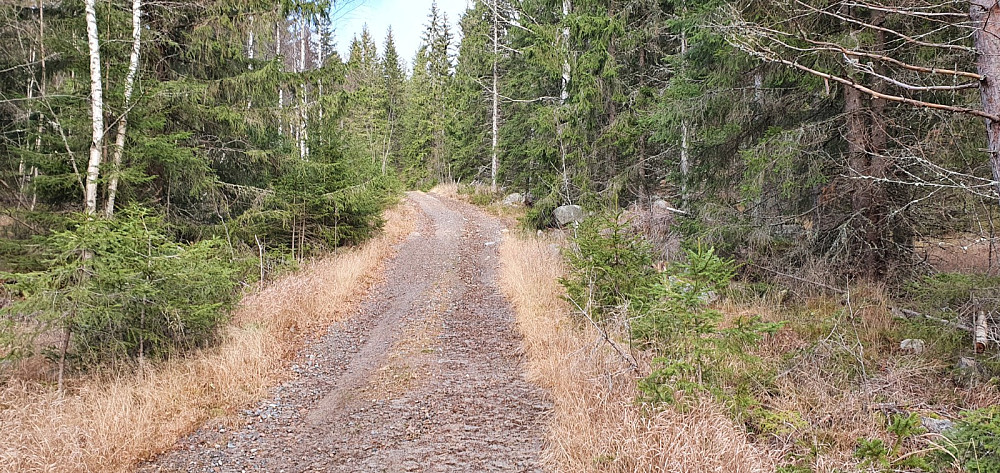 Litt opp i lia kom jeg på en vei som gikk mot toppen