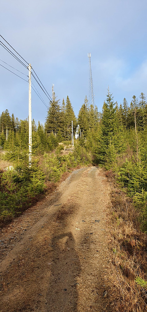 Da dukket antenna opp