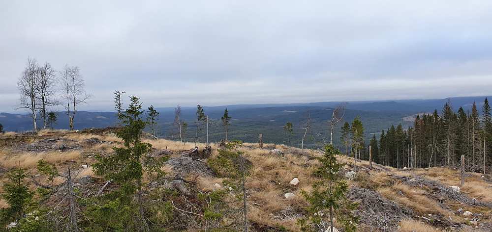 Flott utsikt i alle retninger fra toppen av Skråckarberget 