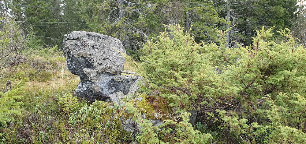 Høyeste naturlige punktet på Skråckarberget