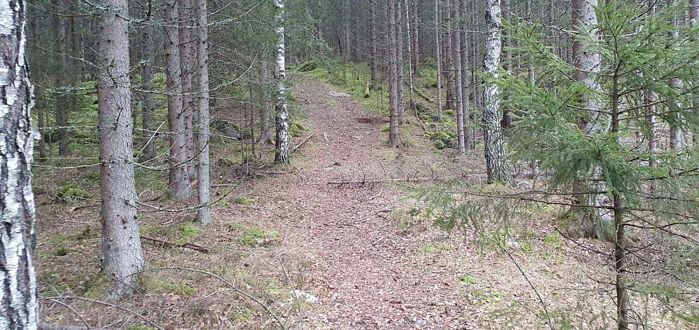 Jeg valgte å ta opp her for å ta en snarvei gjennom skogen