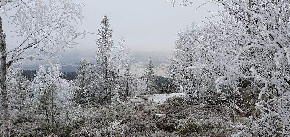 Tåka begrenset utsikten i dag