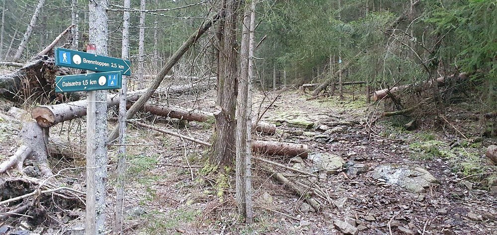 Jeg fulgte stien ned igjen, og passerte dette stikrysset et stykke nede i lia