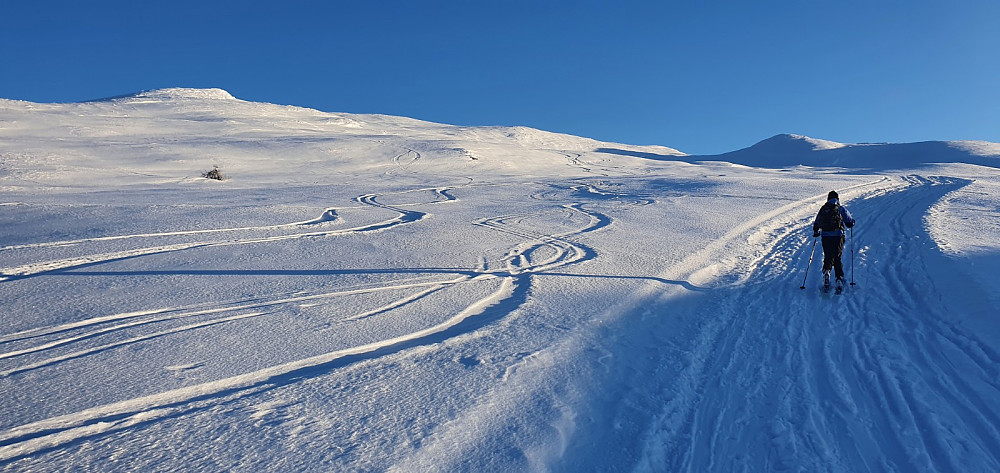 Prepareringsmaskinen hadde kjørt langt opp fjellsiden, og det var dessuten gått opp spor av mange andre med Rando ski