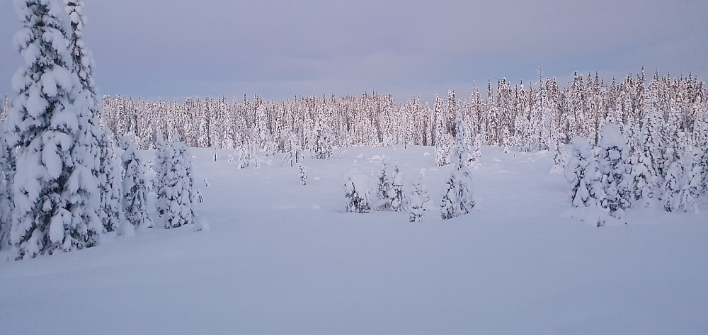 Flott lys i blåtimen. Det var skumt når jeg kom tilbake til bilen