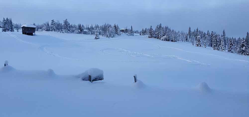 På Kinna var det noen som hadde lekt seg med snøscooter på jordene