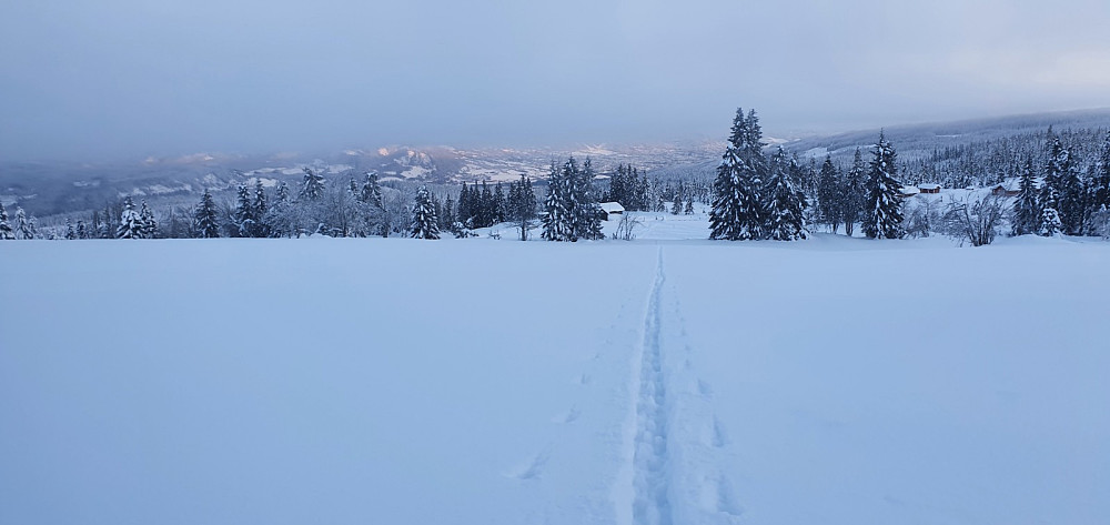 Tilbakeblikk fra det øverste jordet på Kinna, rett før det bar inn gjennom skogen