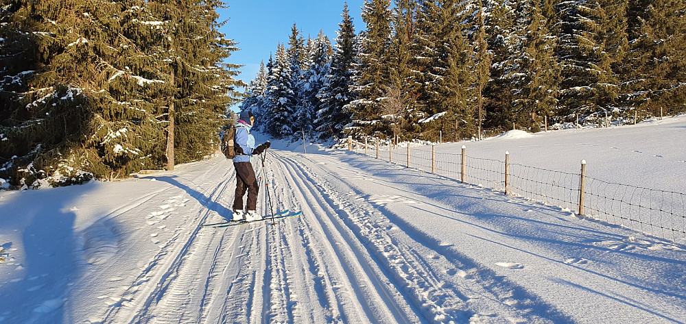 Sola kikket frem og med kjørt spor gikk det lett å gå opp til setrene