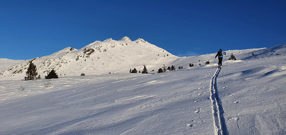 Da startet vi turen opp fjellet, og hadde fri sikt bort på Gravhornet som vi tok en tur oppom på returen