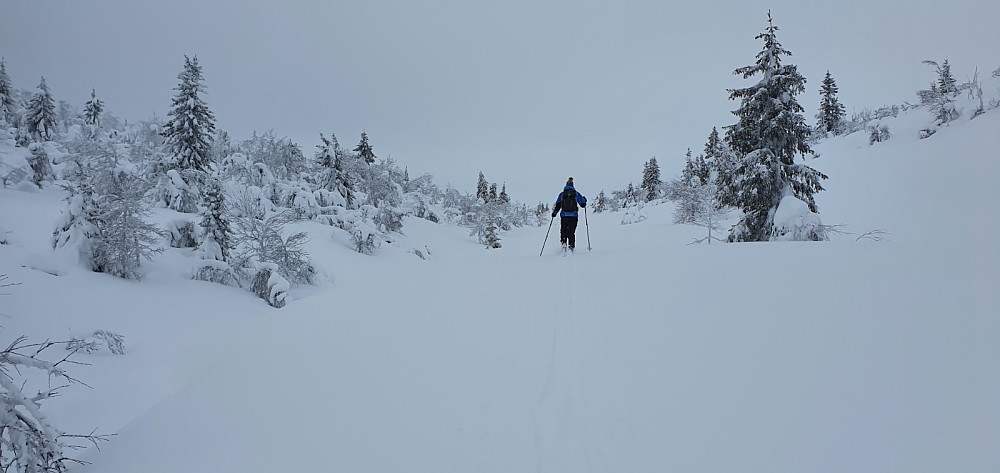 Mye løs snø og tungt å gå i starten