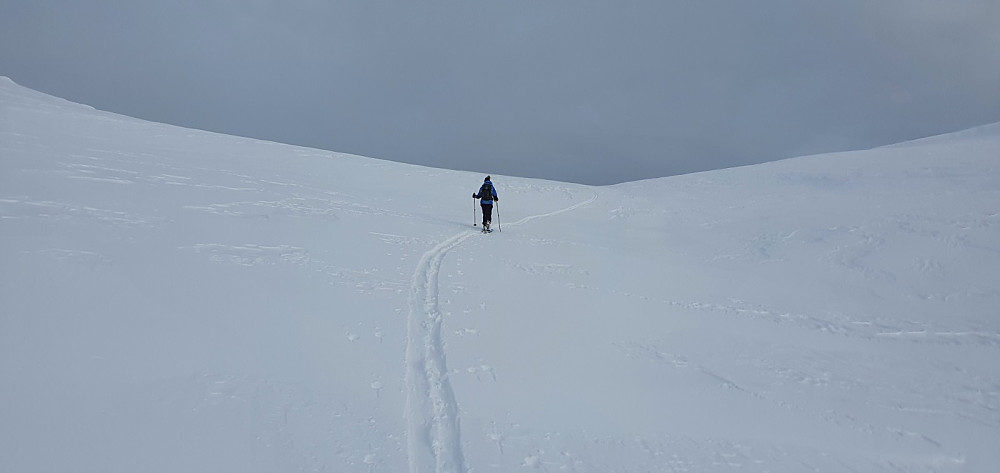 Vi så 2 stykker foran oss oppe på fjellet, og siste biten kunne vi gå i sporet deres