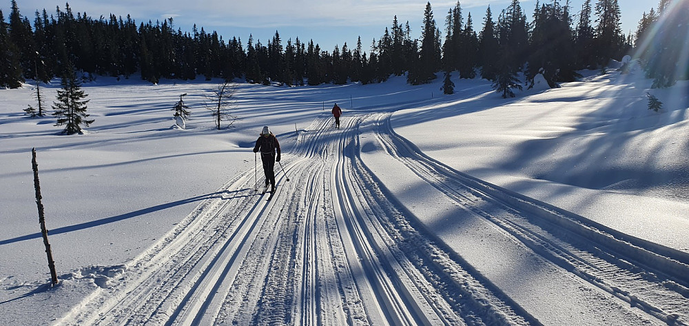 Lett å gå bakkene opp av skogen i nypreparert spor