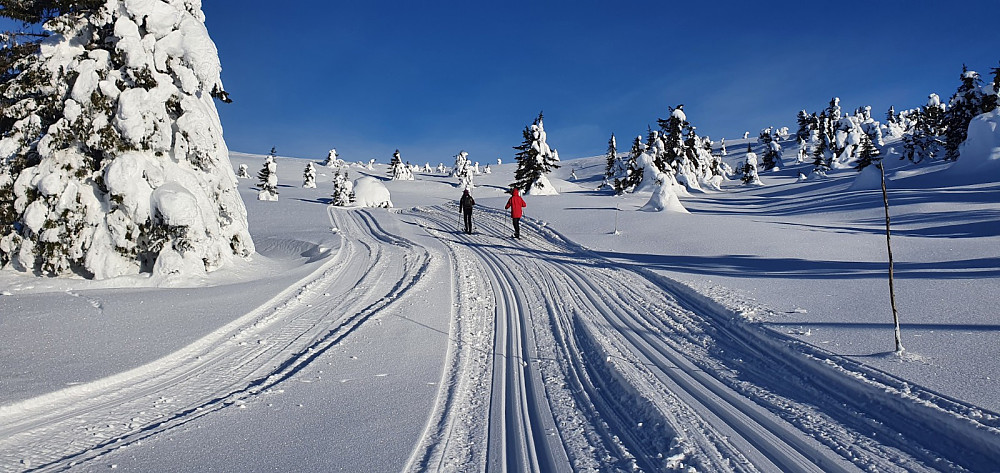 Også oppe på fjellet var det flott spor, men her merket vi en kald trekk fra vest