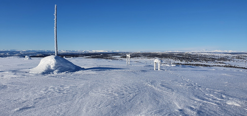 Toppen på Sjøsæterfjellet med Rondane i bakgrunnen