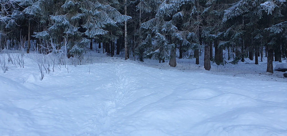 Ved turstart var det kun en person som hadde gått til fots opp siden forrige snøfall