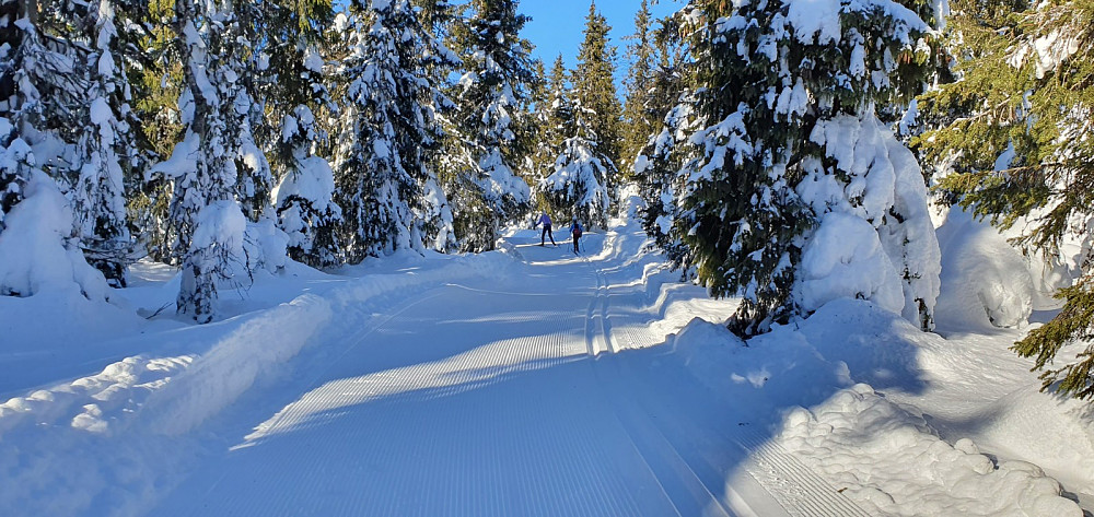 Damene hadde racing ski og gikk raskt i det nypreparerte sporet. Jeg gikk på mine smørefrie fjellski, og klarte ikke å holde følge i motbakkene