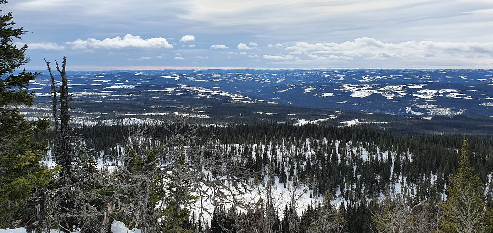 Utsikt sørover fra toppen av Bergvassknotten