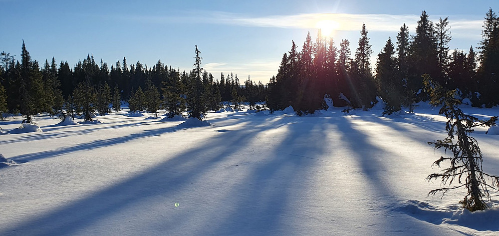 Sola var imidlertid på tur ned, og vi sendte GO i forveien hjemover, da det ville gå sakte nedover på truger og til fots