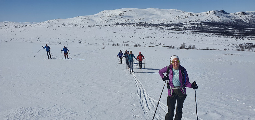 Oppe av skogen var det godt å rusle opp på 5 cm med løssnø på toppen av gammel fast snø