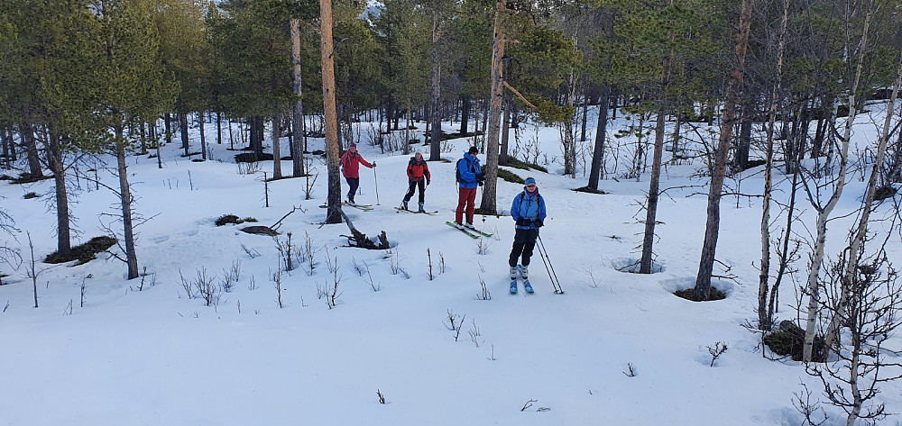 Det var hard snø hele veien opp gjennom skogen, og vi fikk en fantastisk flott aketur her på returen