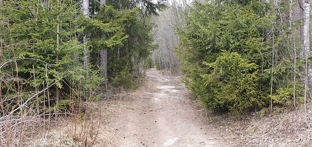 Jeg startet inn på idyllisk sti. Det var en rekke stikryss innover, så her er det mye muligheter for å gå tur 