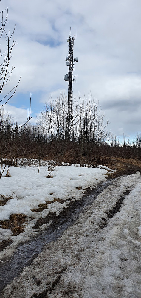 Antenna på toppen