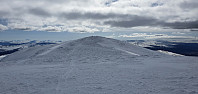 NJK500_20210430_608c2baf0d1fc.jpg