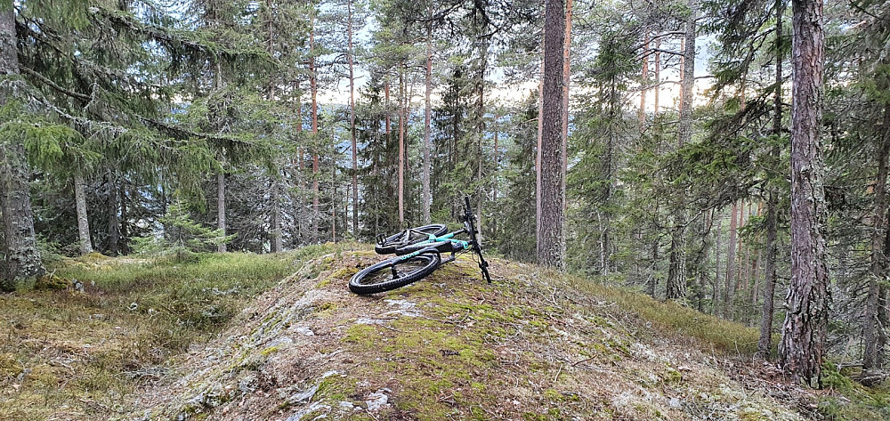 Toppen av Rundhaugen