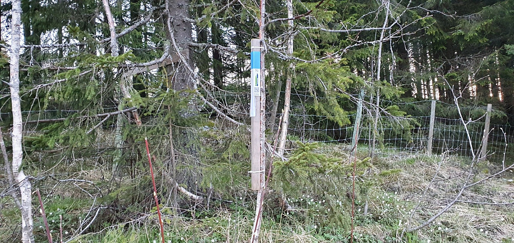Da ble det stolpejakt på resten av turen