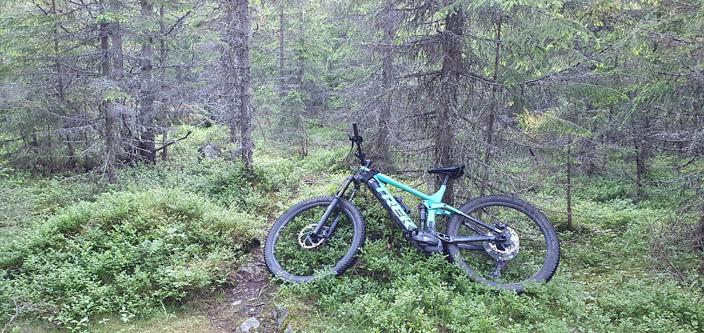 Her et sted er høyeste punkt på Kvesåsen