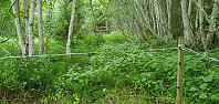 NJK500_20210708_60e6aad3a9ec1.jpg