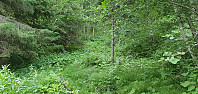 NJK500_20210708_60e6aad44bb01.jpg
