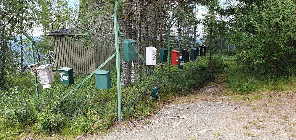Norgesrekord i turkasser på en topp?