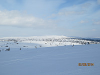 Reinsfjellet i sikte