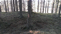 Toppunktet