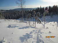 Flott nysnø ned hogsfeltet