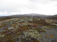 Toppen av Ryggetrøfjellet