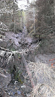 njk500_imag0104(1).jpg
