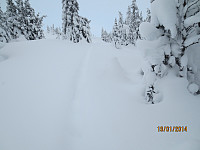 njk500_img_2124.jpg