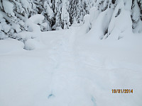 njk500_img_2125.jpg