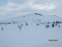 Vardeknappen sør for Svarttjern var dagens første topp