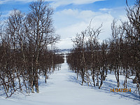 Kommunegrensen