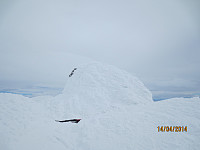 Toppvarden