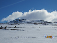 Fin fonne midt på fjellet for Rando